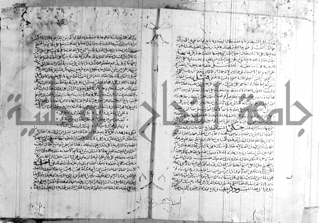 شرح لامية العجم 