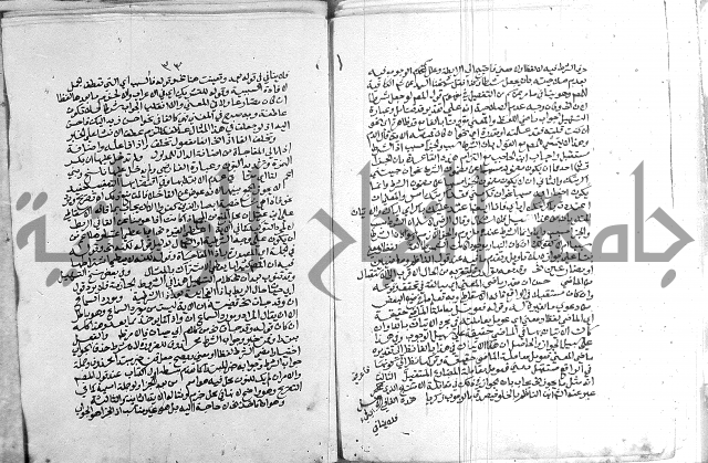 كتاب في اللغة العربية