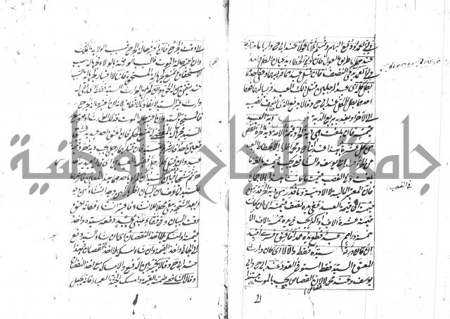 مختصر شرح الوقاية 
