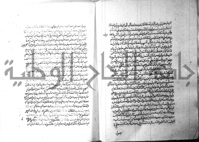 ارشاد الساري 2 