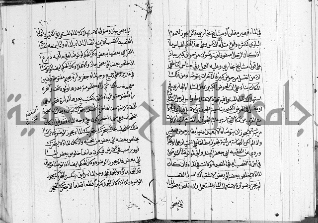 كتاب في الفقة