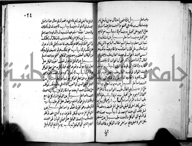 الفتاوى الامينية