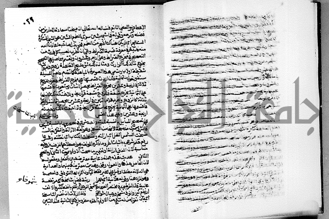 مختصر حاشية القهوتي 