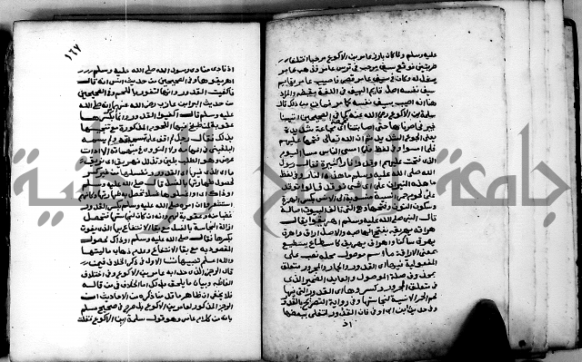 شرح ثلاثيات المسند ج 2 