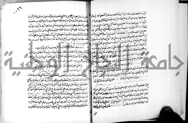 البحر الفائض في شرح ديوان ابن الفارض البوريني 