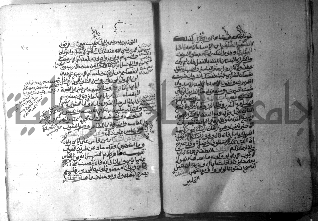 شرح الاشموني على الافية