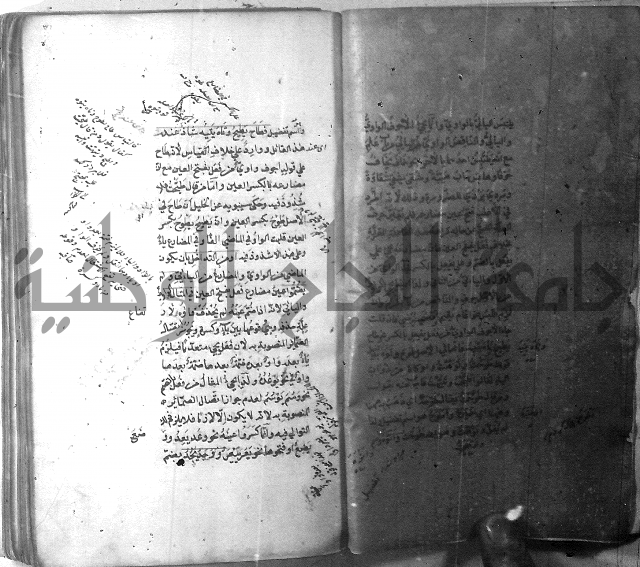 شرح الشافية 