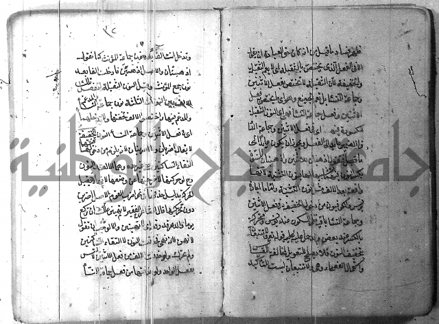 التفنن في الصرف