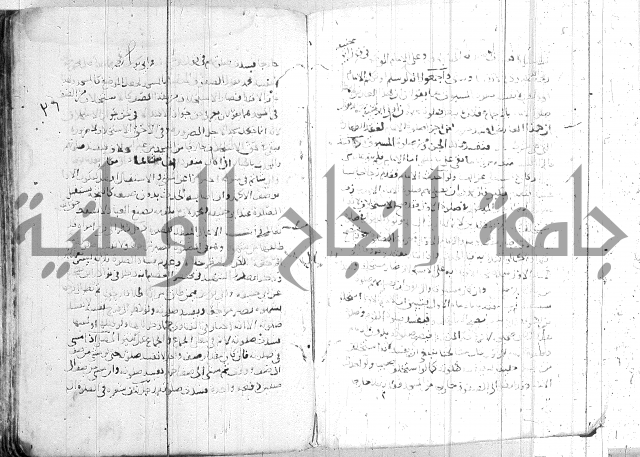 الفتاوى الولوالجية  