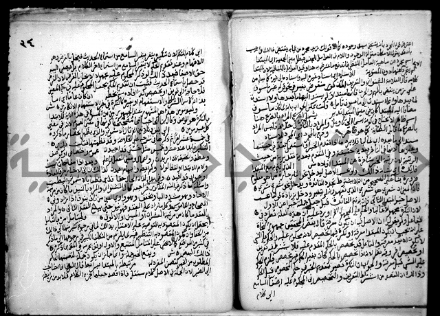 حاشية السجاعي على شرح قطر الندى وبل الصدى لابن هشام