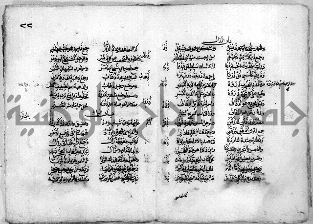 مجهول نظم