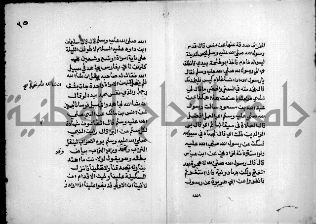 مختصر صحيح البخاري = جمع النهاية في بدء الخير والغاية