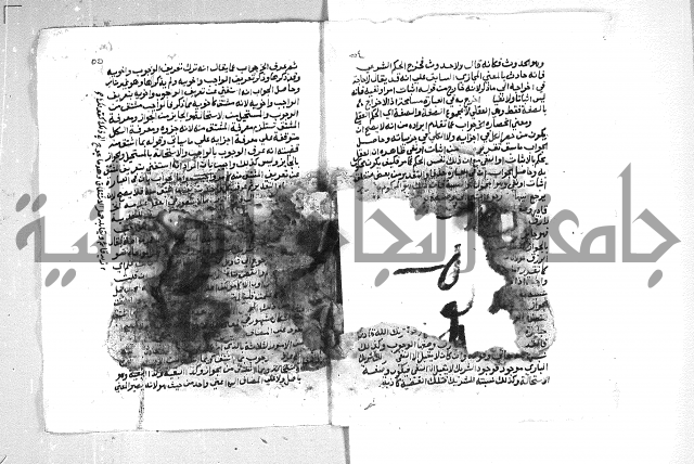 الهدهدي 