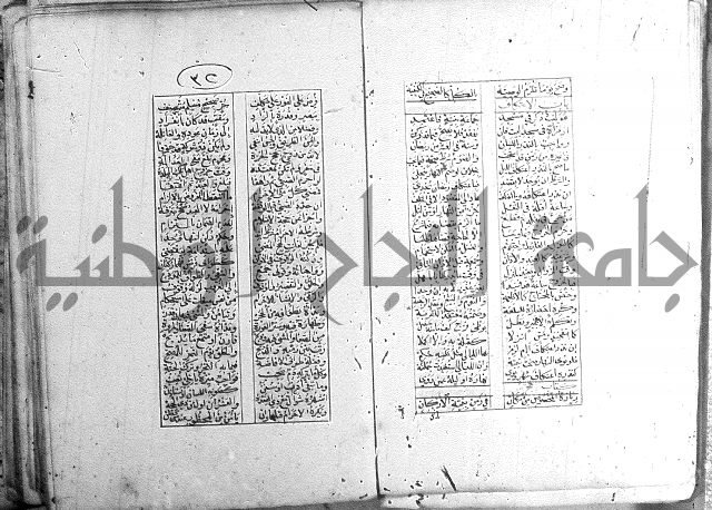 خلاصة التنوير 