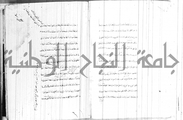 ضوء في علم النحو