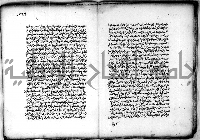 فقة من مخطوطات مسجد الحاج نمر النابلسي 