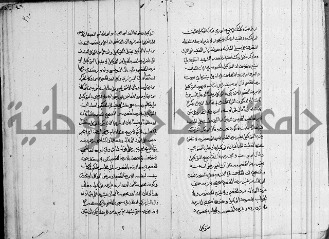 لسان الحكام