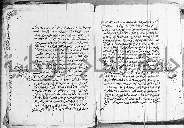 الزيادي على المنهج 