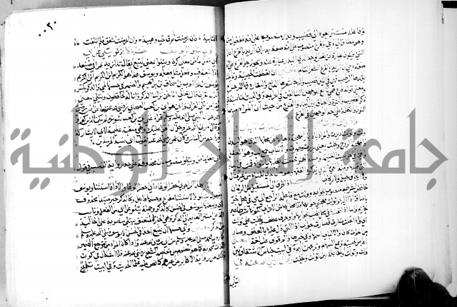 البحر الفائض في شرح ديوان ابن الفارض البوريني 