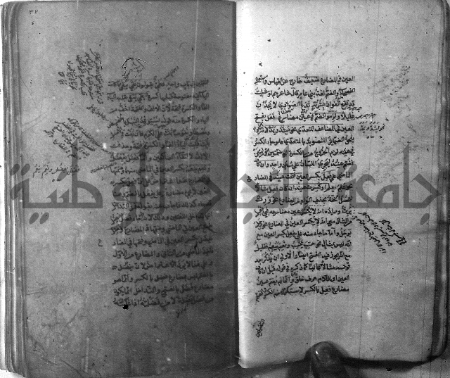 شرح الشافية 