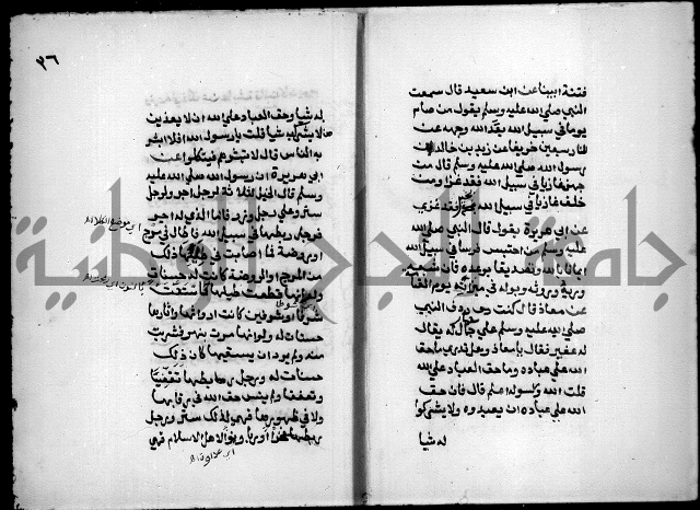 مختصر صحيح البخاري = جمع النهاية في بدء الخير والغاية