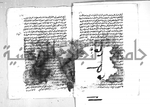 الهدهدي 