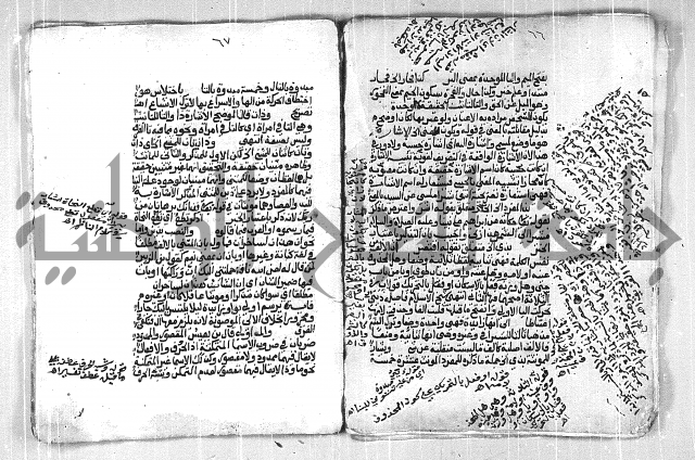 فتح الجليل  على شرح ابن عقيل 