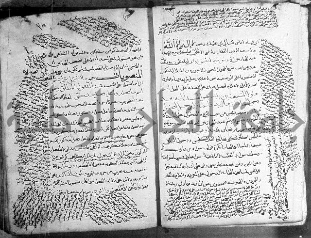 المواشح على الكافية