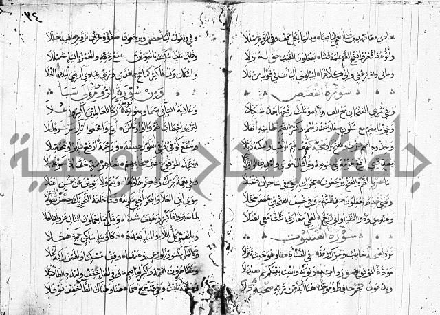 متن حرز الاماني 
