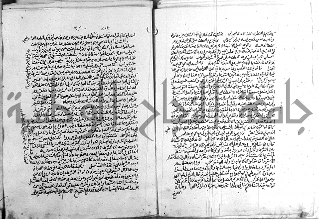 كتاب في اللغة العربية