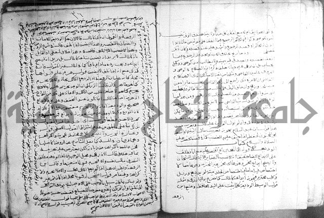 السنباطي على المحلي