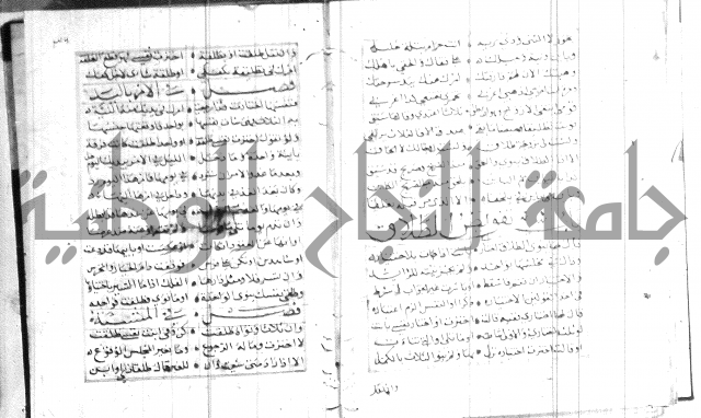 نظم كنز الدقائق