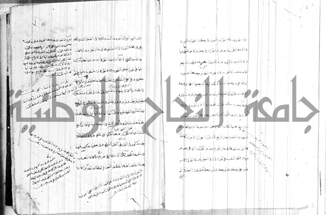 ضوء في علم النحو