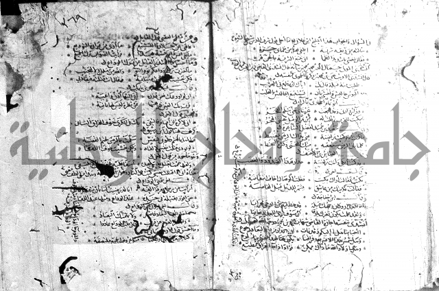 شرح لامية العجم 