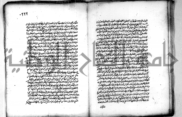 فقة من مخطوطات مسجد الحاج نمر النابلسي 