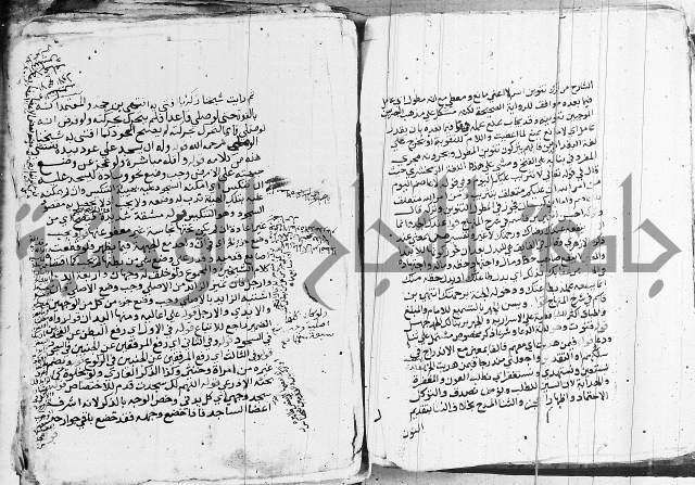 الزيادي على المنهج 