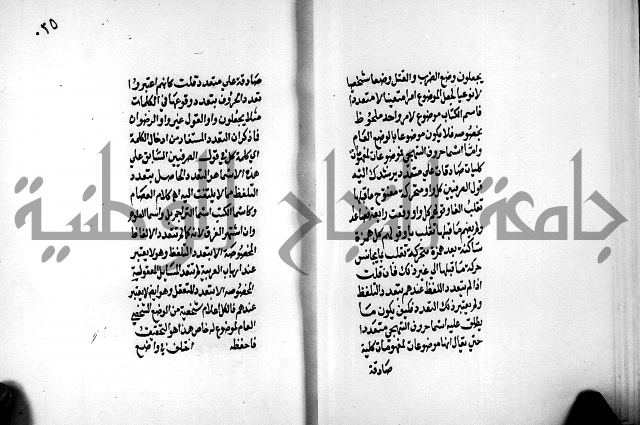 الرسالة البيانية