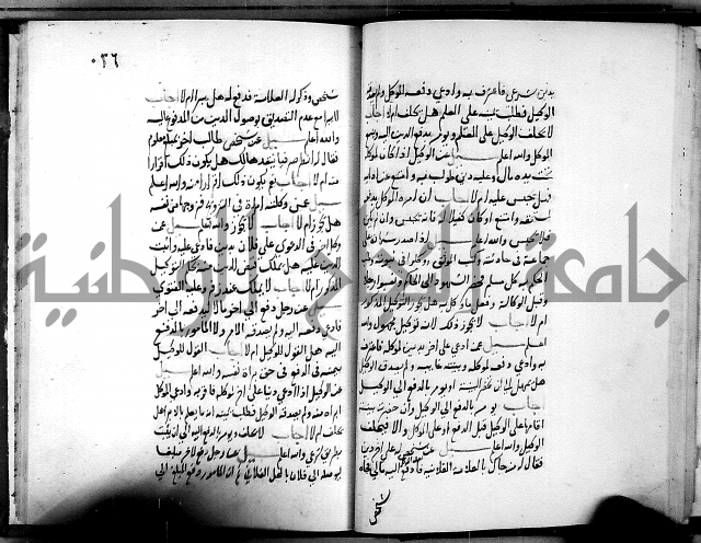 الفتاوى الامينية