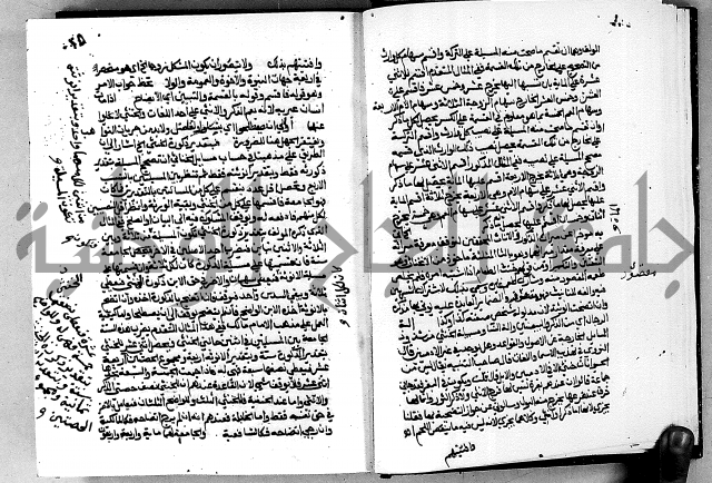 مختصر حاشية القهوتي 