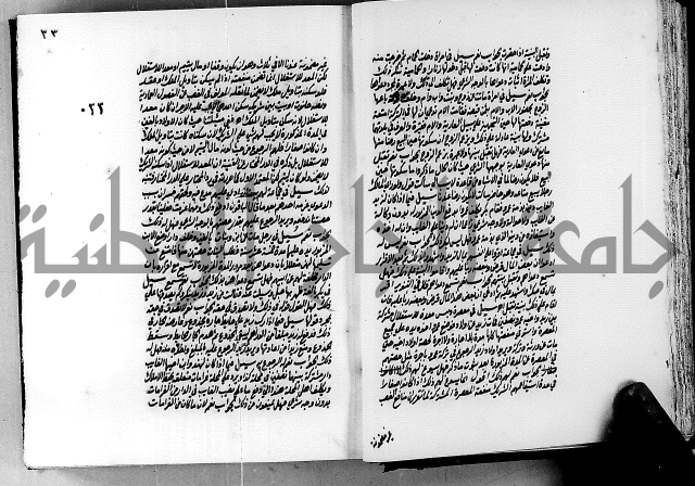 الجواهر الدورية في تنقيح الفتاوى الحامدية ج2 