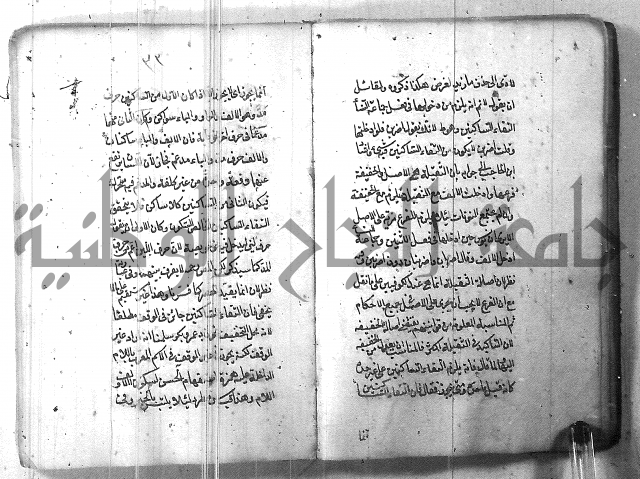 التفنن في الصرف