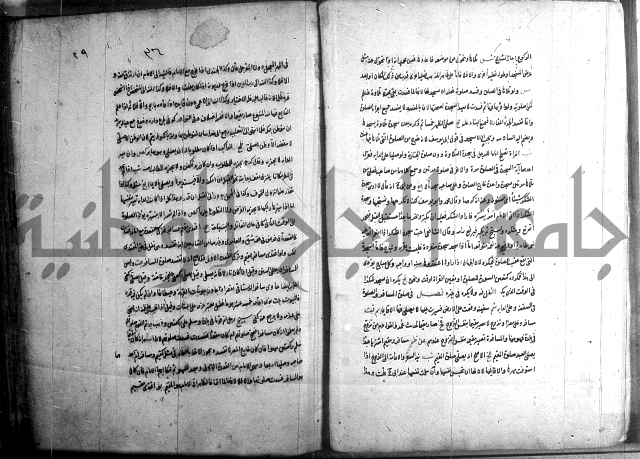 حاوي مسايل المنيه