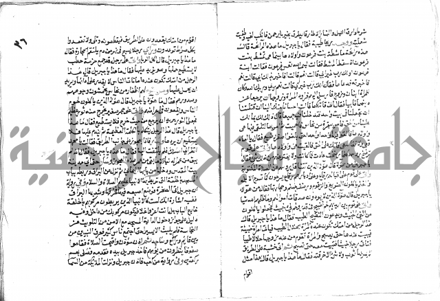 تحفة بن عبد مناف