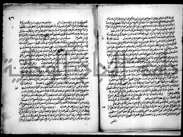 حاشية السجاعي على شرح قطر الندى وبل الصدى لابن هشام