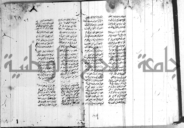 نظم تركي