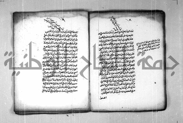 شرح الهمزية  