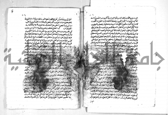 الهدهدي 