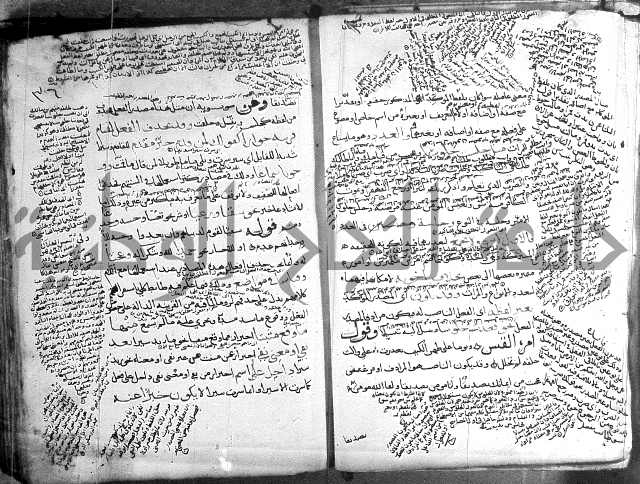 المواشح على الكافية