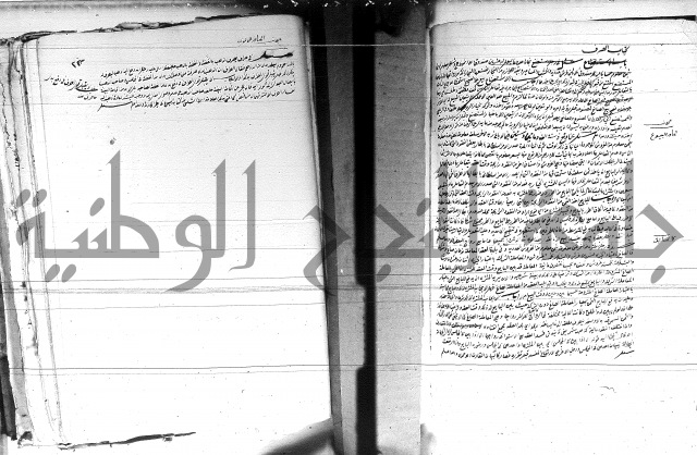 الفتاوى الحسينية