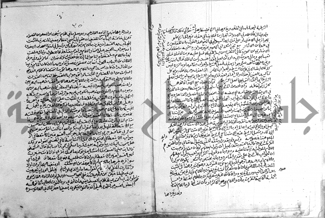 كتاب في اللغة العربية